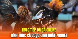 trực tiếp đá gà online